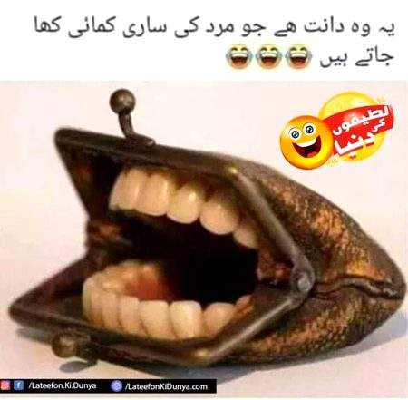 Memes & Satire image
