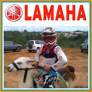 Memes & Satire image