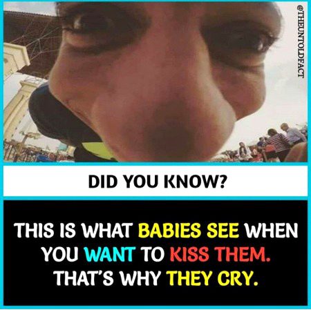 Memes & Satire image