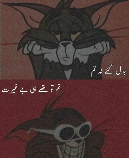 Memes & Satire image