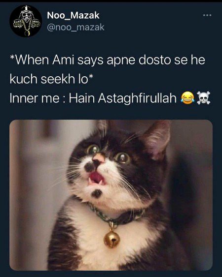 Memes & Satire image