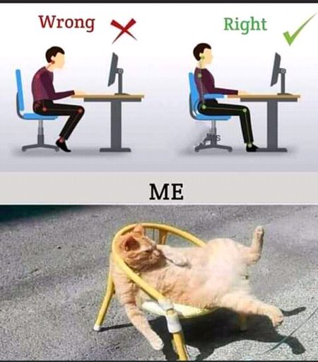 Memes & Satire image