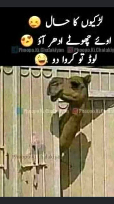 Funny joke