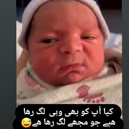 Memes & Satire image