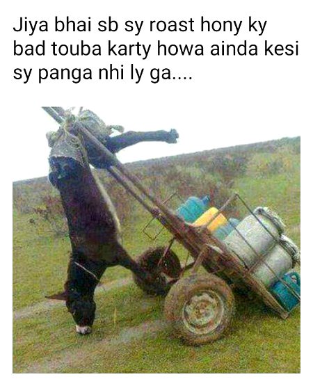 Damadam Roasting image