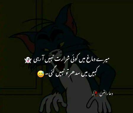 Jokes image