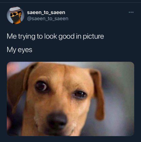 Memes & Satire image