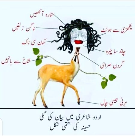 Memes & Satire image