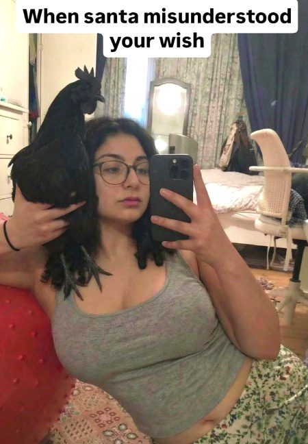 Memes & Satire image