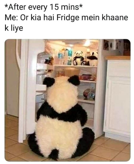 Memes & Satire image