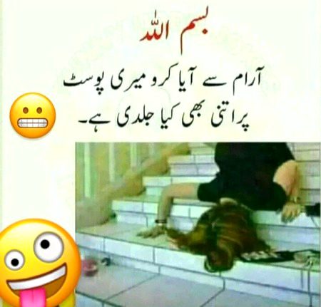 Memes & Satire image