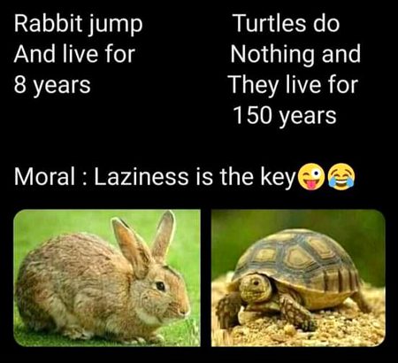 Memes & Satire image