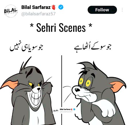 Memes & Satire image