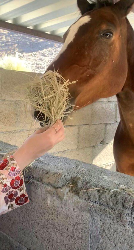 Beautiful Nature image