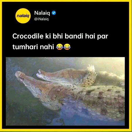 Memes & Satire image