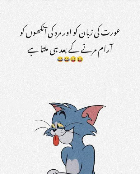 Memes & Satire image