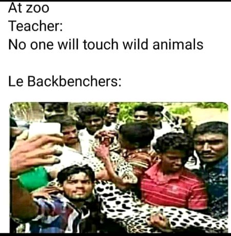 Memes & Satire image