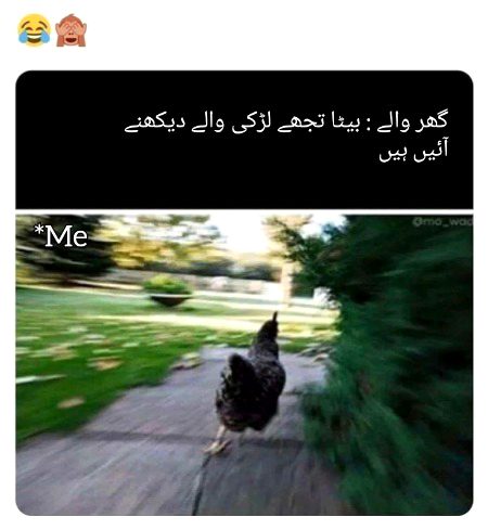 Memes & Satire image