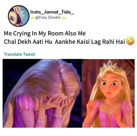 Memes & Satire image