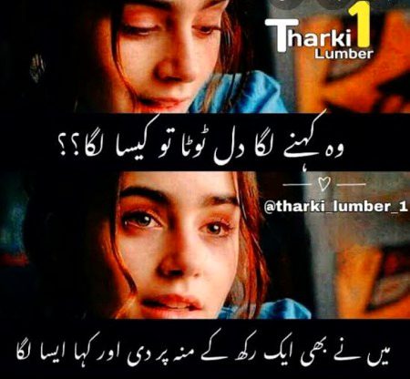 Attitude Quotes image