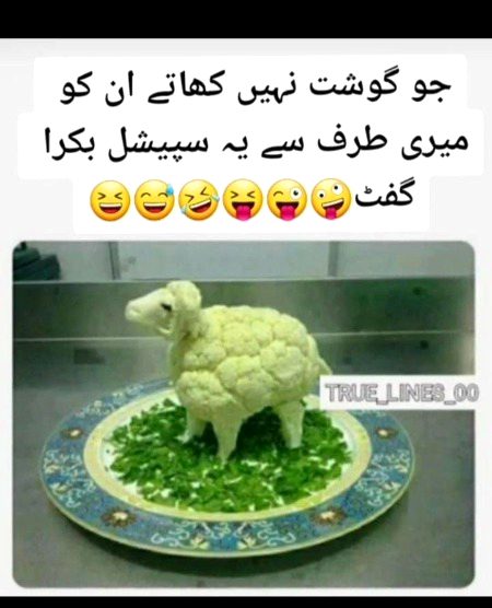 Memes & Satire image
