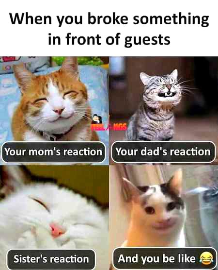 Memes & Satire image