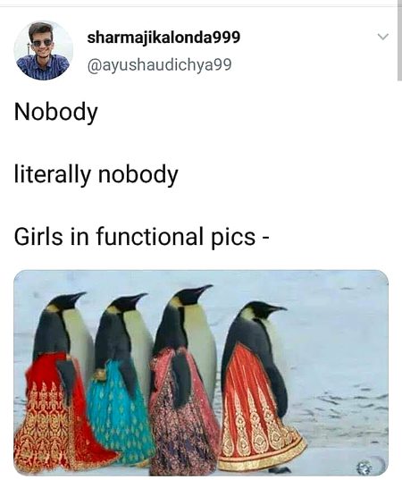 Memes & Satire image