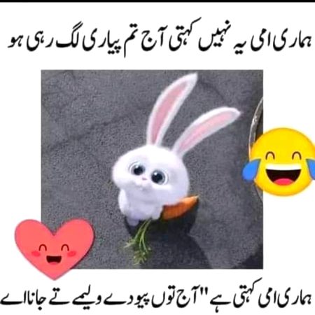 Memes & Satire image