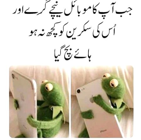 Memes & Satire image