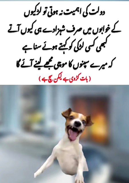 Memes & Satire image