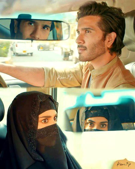 Pakistani Celebs image