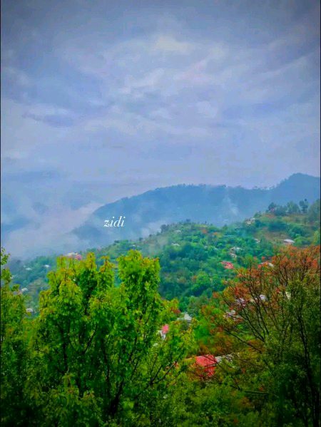 Beautiful Nature image