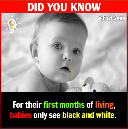 Interesting Posts image