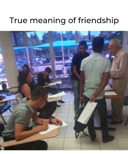 Memes & Satire image
