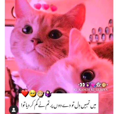 Jokes image