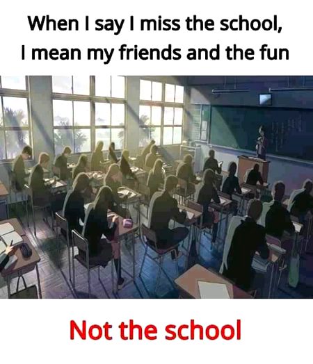 Memes & Satire image