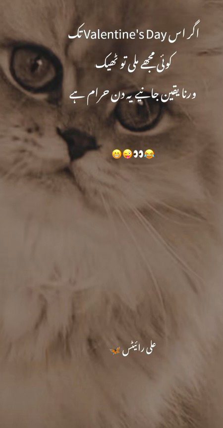 Memes & Satire image