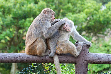 Beautiful Nature image