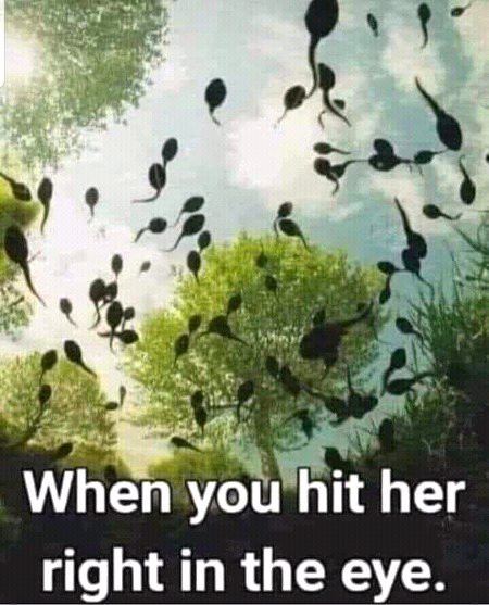Funny joke