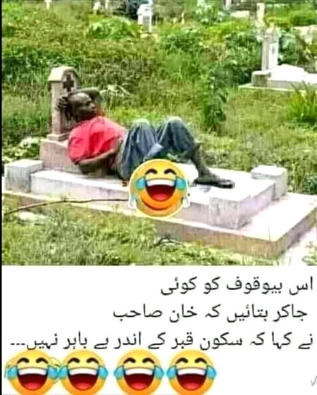 Memes & Satire image