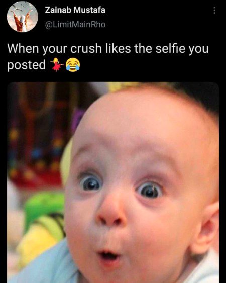 Memes & Satire image