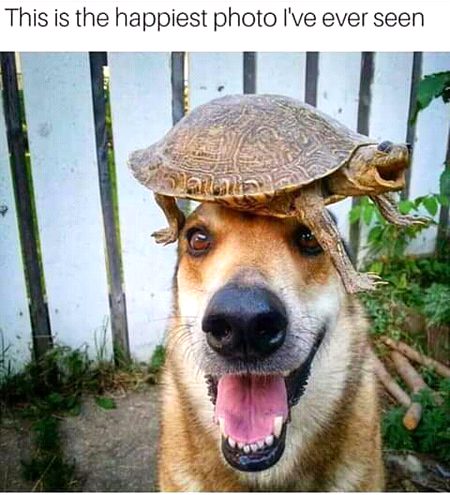 Funny joke