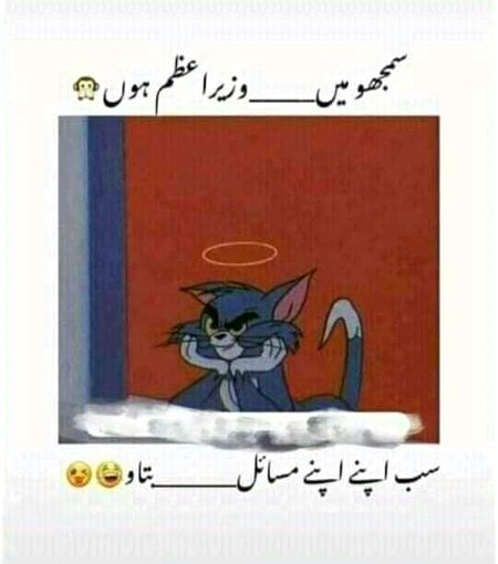 Memes & Satire image