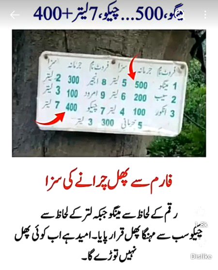 Memes & Satire image