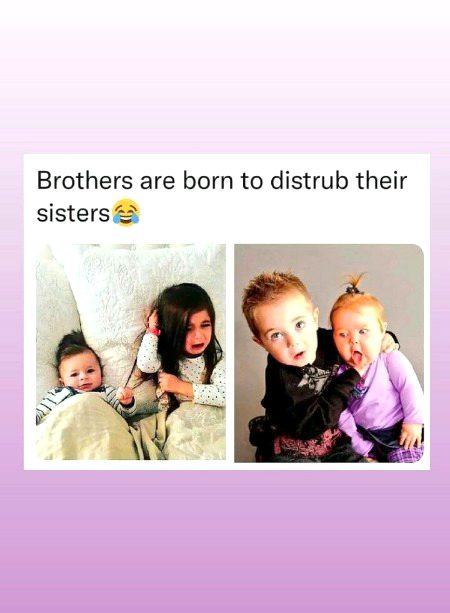 Memes & Satire image