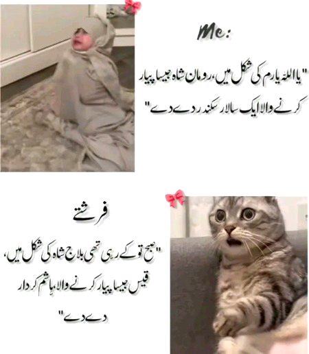 Memes & Satire image