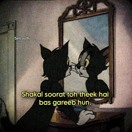 Memes & Satire image