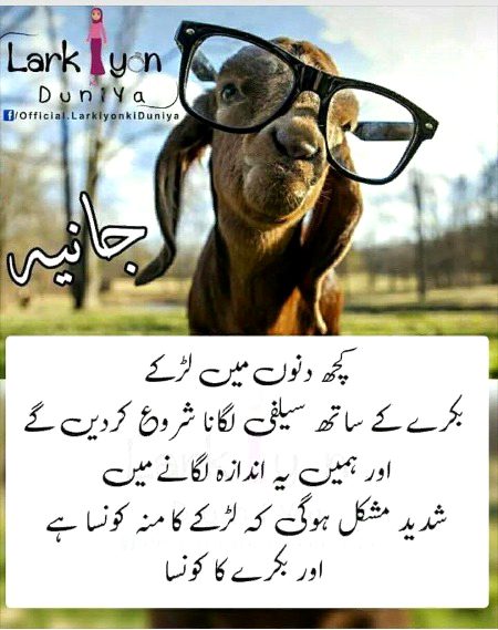 Jokes image