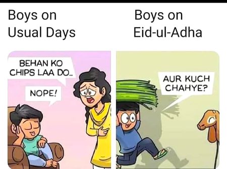 Memes & Satire image