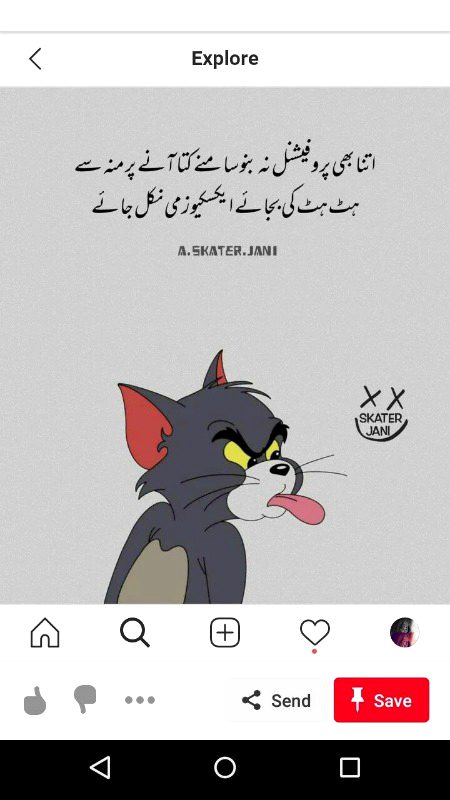 Memes & Satire image